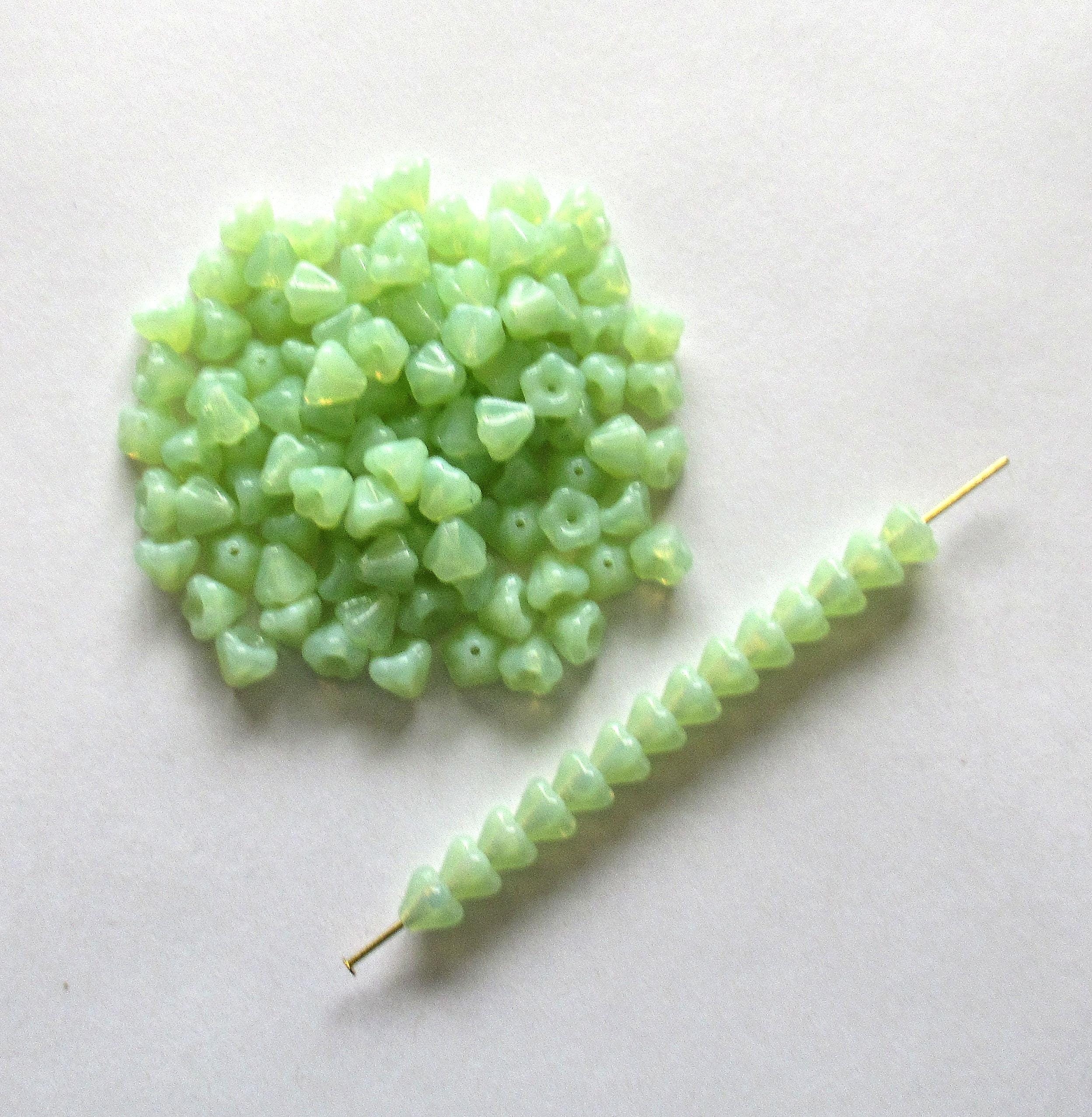 50 Czech glass baby Bell Flower beads - 4 x 6mm - mint green opal flower beads - 00201