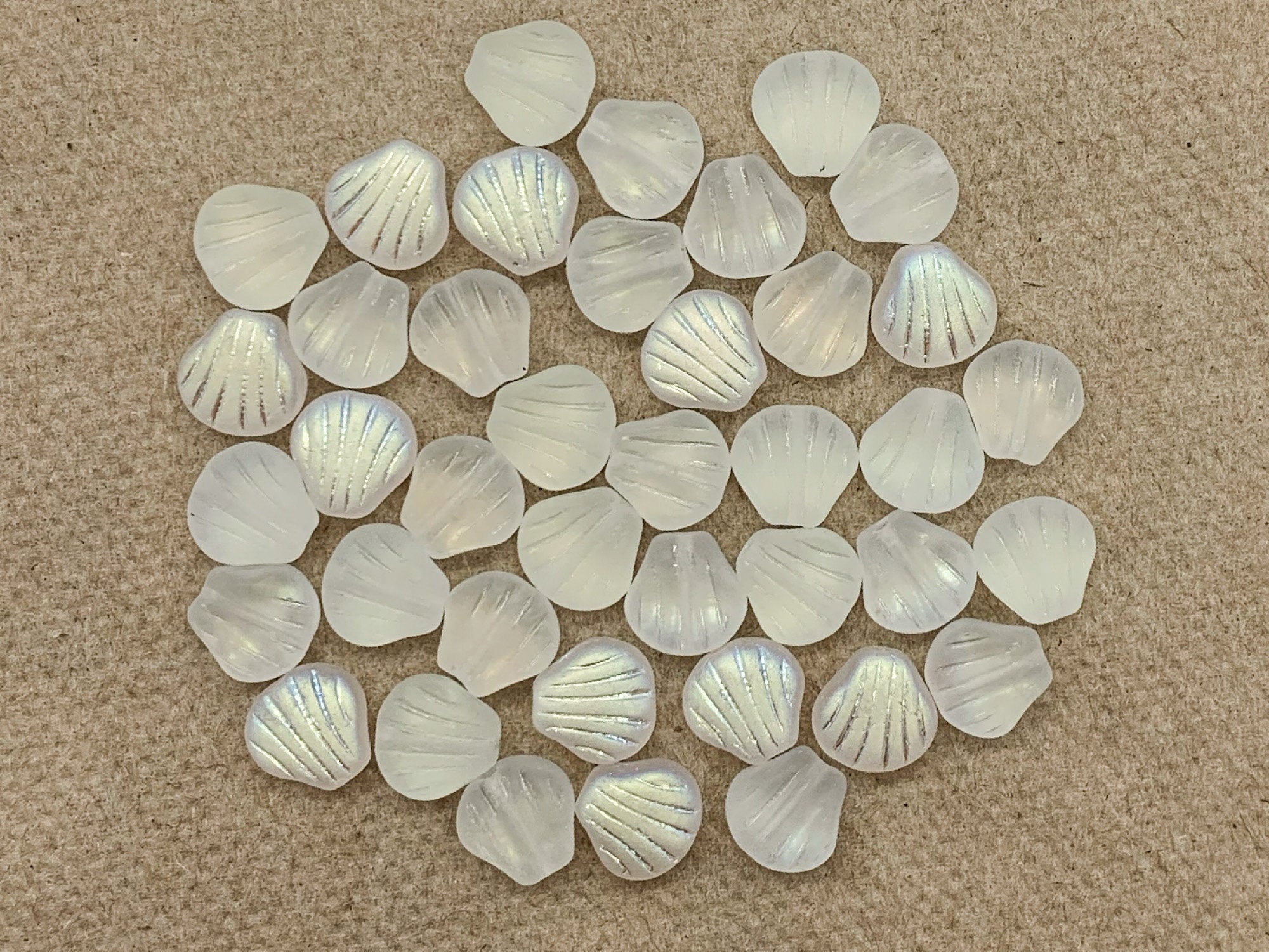 Twenty Czech glass seashell, fan or clam beads - 8mm frosted crystal AB shell beads - C0058