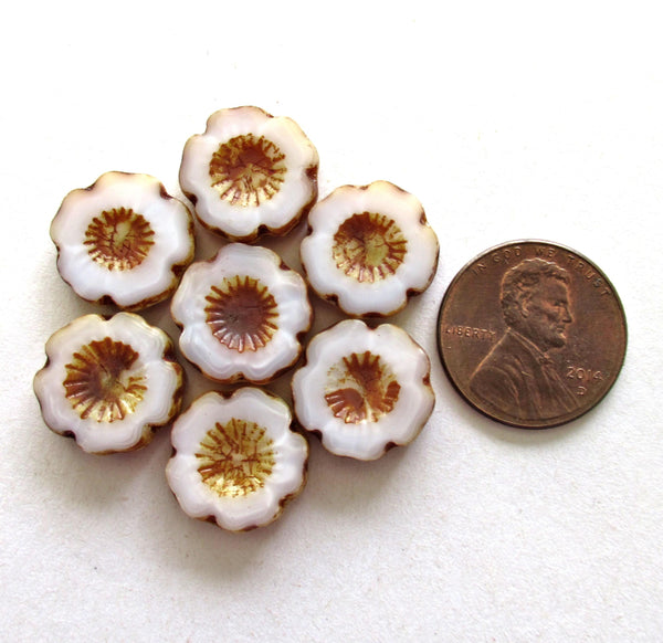 Six Czech glass flower beads - 14mm - silky white Hawaiian hibiscus flowers with brown picasso accents - carved table cut beads - C00021
