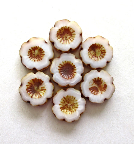 Six Czech glass flower beads - 14mm - silky white Hawaiian hibiscus flowers with brown picasso accents - carved table cut beads - C00021