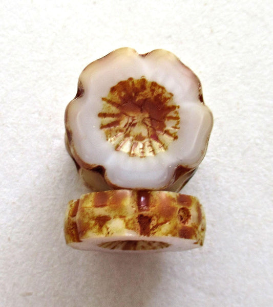 Six Czech glass flower beads - 14mm - silky white Hawaiian hibiscus flowers with brown picasso accents - carved table cut beads - C00021