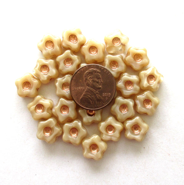 Czech glass flower beads - 11mm - silky cream / off white / beige flower or star beads with copper accents - 15 pieces - C00831