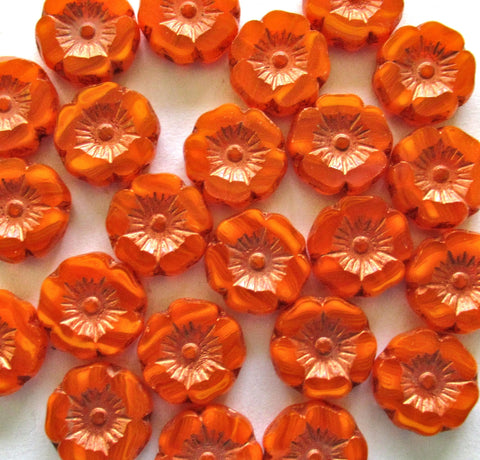 Czech glass flower beads - streaked orange opaline w/ copper wash - 12mm - table cut carved - Hawaiian hibiscus beads - 8 beads - C00122