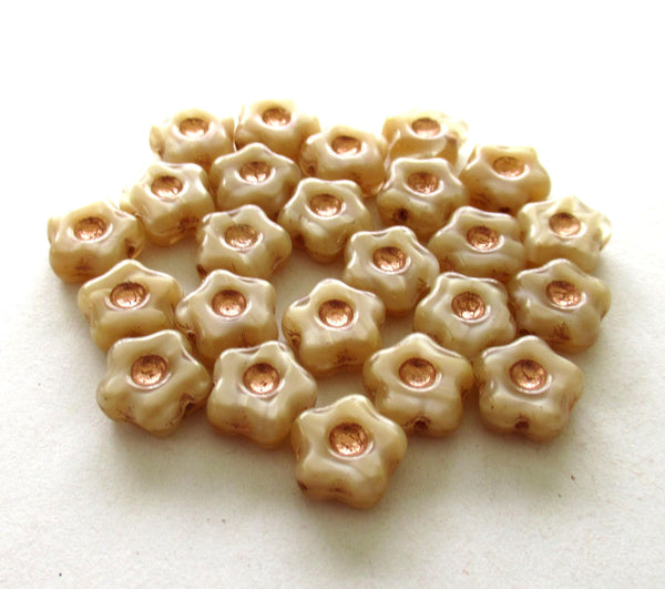 Czech glass flower beads - 11mm - silky cream / off white / beige flower or star beads with copper accents - 15 pieces - C00831