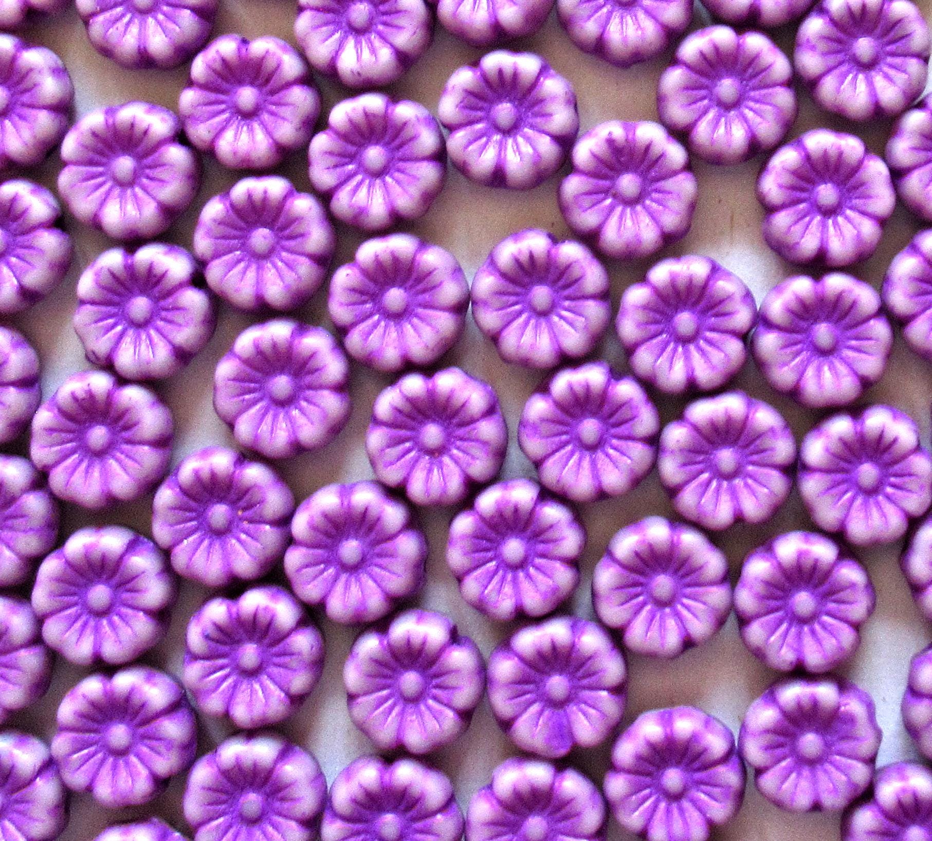 15 Czech glass flower beads - 8mm - opaque white beads with a bright purple wash - Hawaiian hibiscus flower beads - C00601