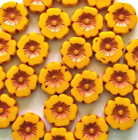 Czech glass flower beads - opaque marigold yellow orange w/ copper wash - 12mm - table cut - Hawaiian hibiscus beads - 8 beads - C00512