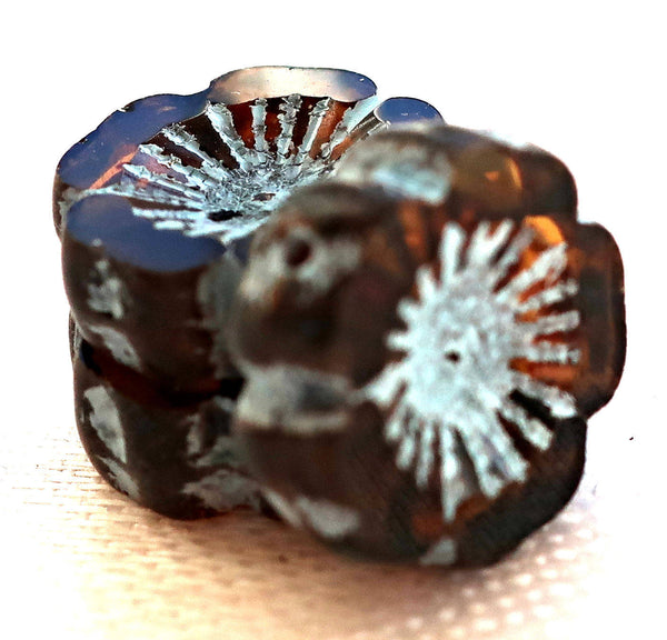 Five 14mm table cut, carved, transparent dark brown, smokey topaz & blue picasso, Czech glass hibiscus Hawaiian flower beads, C05105 - Glorious Glass Beads