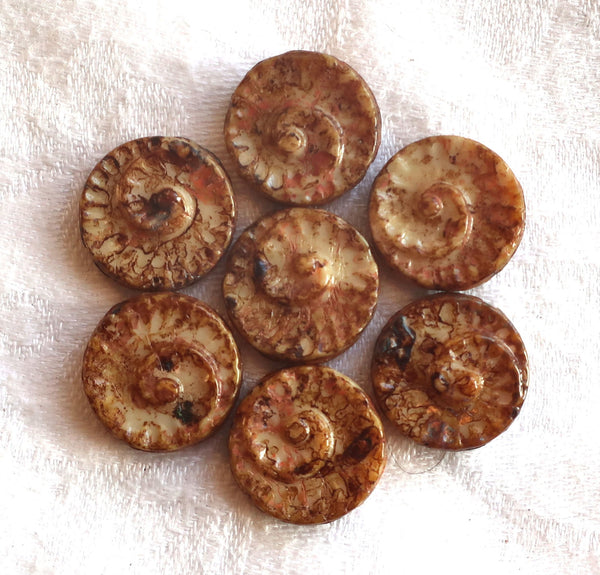 Six large Czech glass snail fossil beads, 18mm off white with full coat brown picasso finish, neutral earthy, rustic coin / disc beads C0616