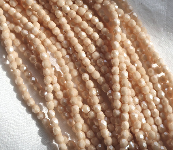 Lot of 50 3mm Off White Opaque Luster Champagne Czech glass beads, firepolished faceted round beads C8450