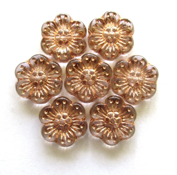 Ten Czech glass wild rose flower beads - 14mm transparent crystal clear floral beads with a copper wash C00501
