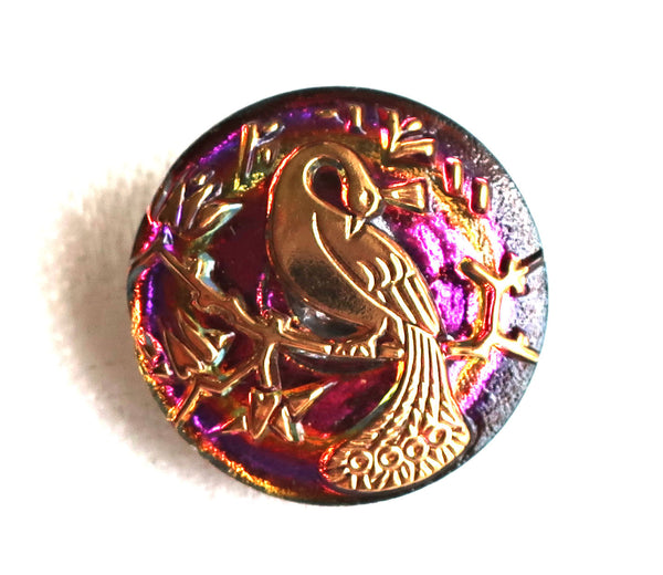 One 22mm Czech translucent pink and gold glass peacock button, decorative shank buttons C05201