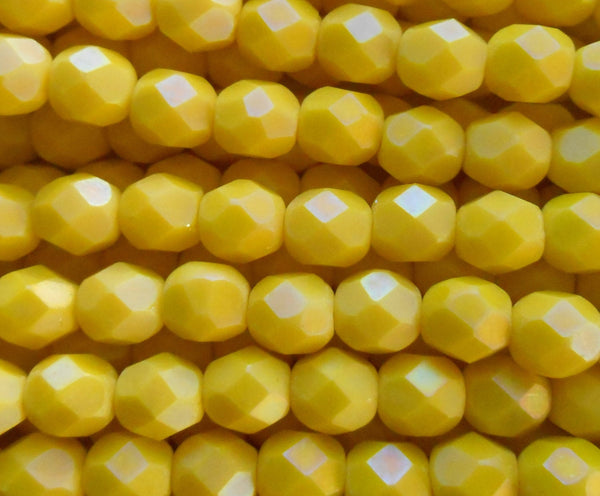 25 6mm Matte Luster Iris Custard Yellow Czech glass beads, opaque bright yellow firepolished, faceted round beads, C0725