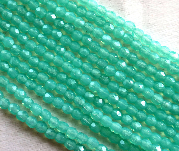Lot if fifty 3mm Milky Peridot Green Czech glass beads, Firepolished, faceted round beads C8550 - Glorious Glass Beads