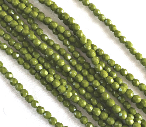 Lot of 50 4mm Opaque Olive, Olivine Green Czech glass beads, firepolished, faceted round beads, C0076