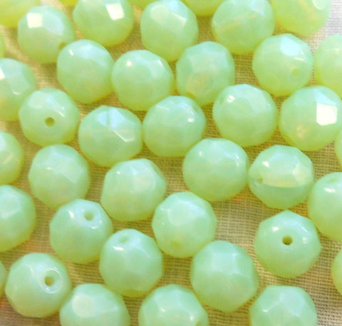 Lot of 25 8mm Light Mint Green Opal, opaque faceted round firepolished glass beads, C7825 - Glorious Glass Beads